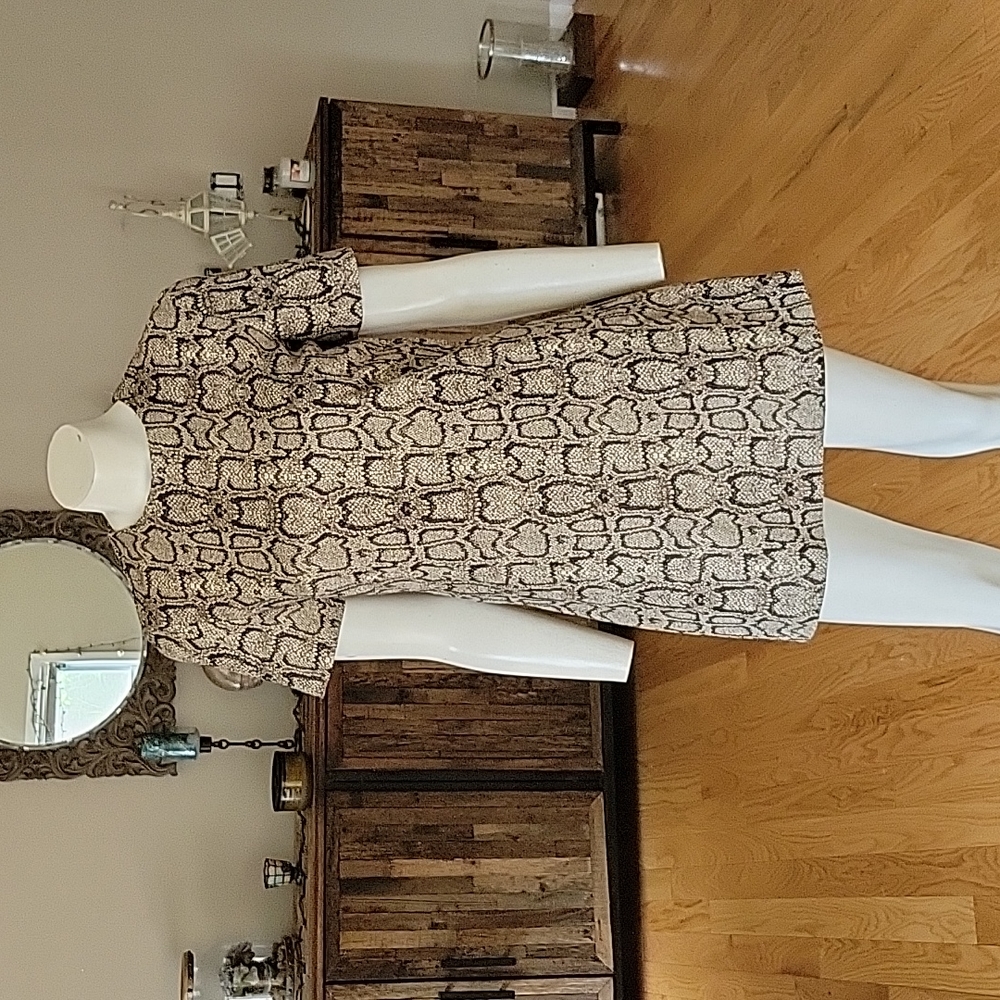 Zara Woman Snake Print Mini Dress